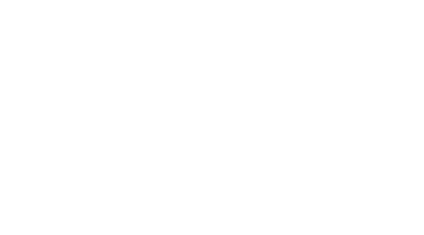 DAP Kees de Vries